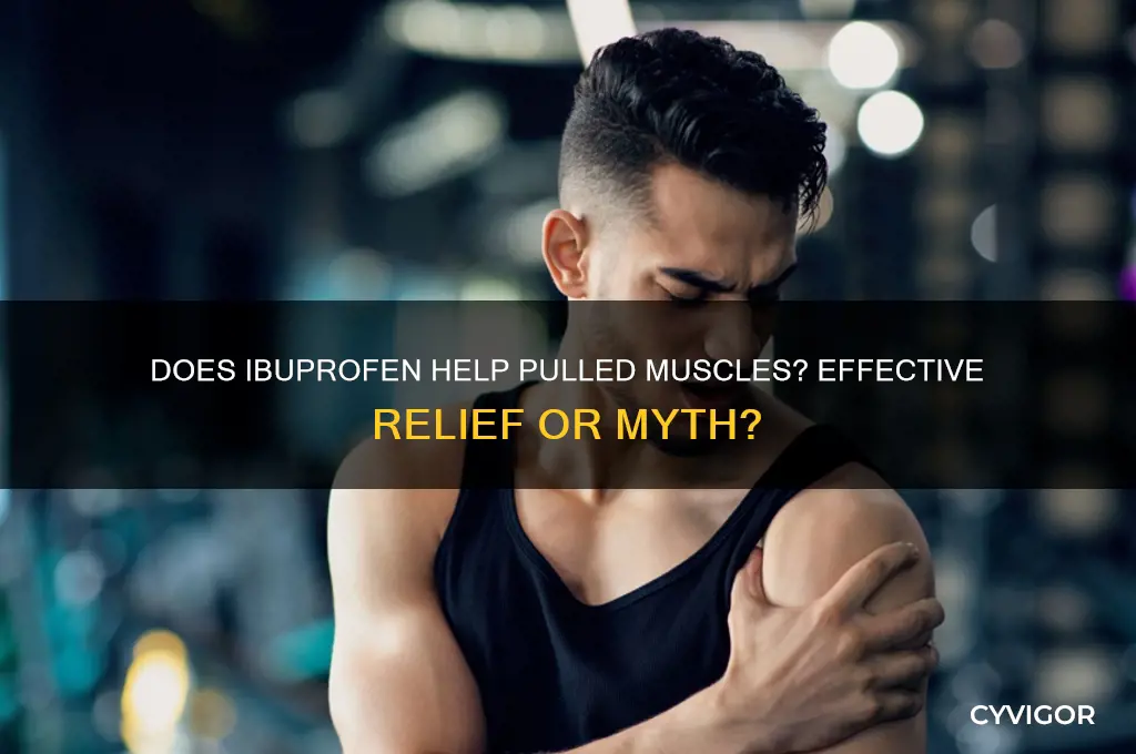 does ibuprofen work for pulled muscles