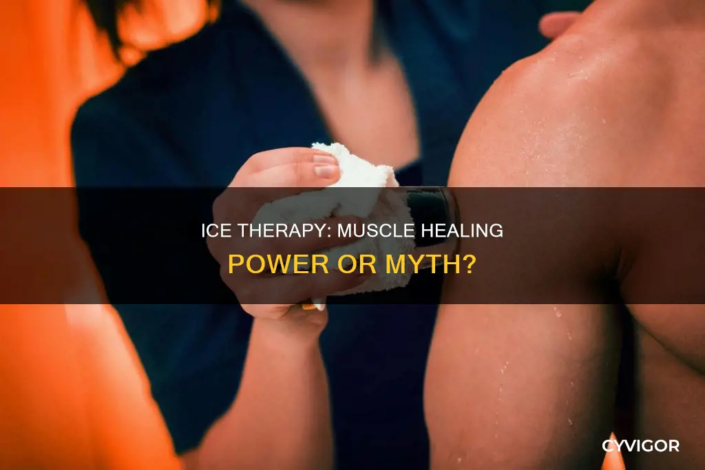 does ice heal muscles