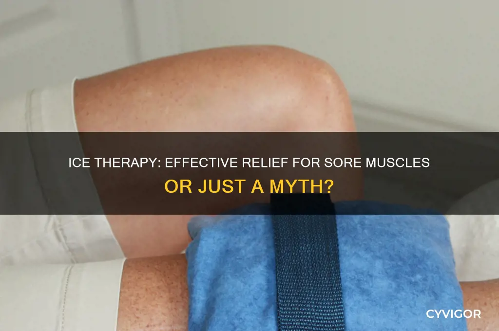 does ice hep sore muscles