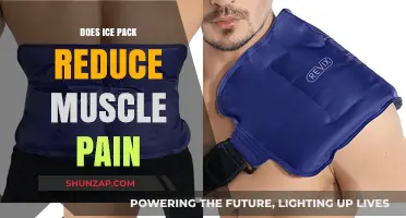 Can Ice Packs Effectively Relieve Muscle Pain? A Comprehensive Guide