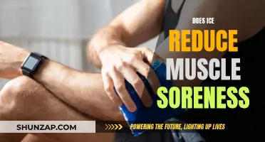 Ice Therapy: Reducing Muscle Soreness and Inflammation
