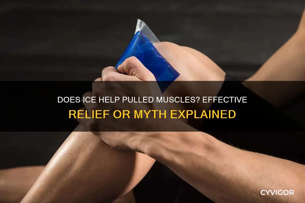 does ice work on pulled muscles