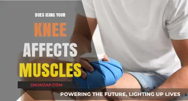 The Impact of Knee Icing on Muscle Performance and Recovery