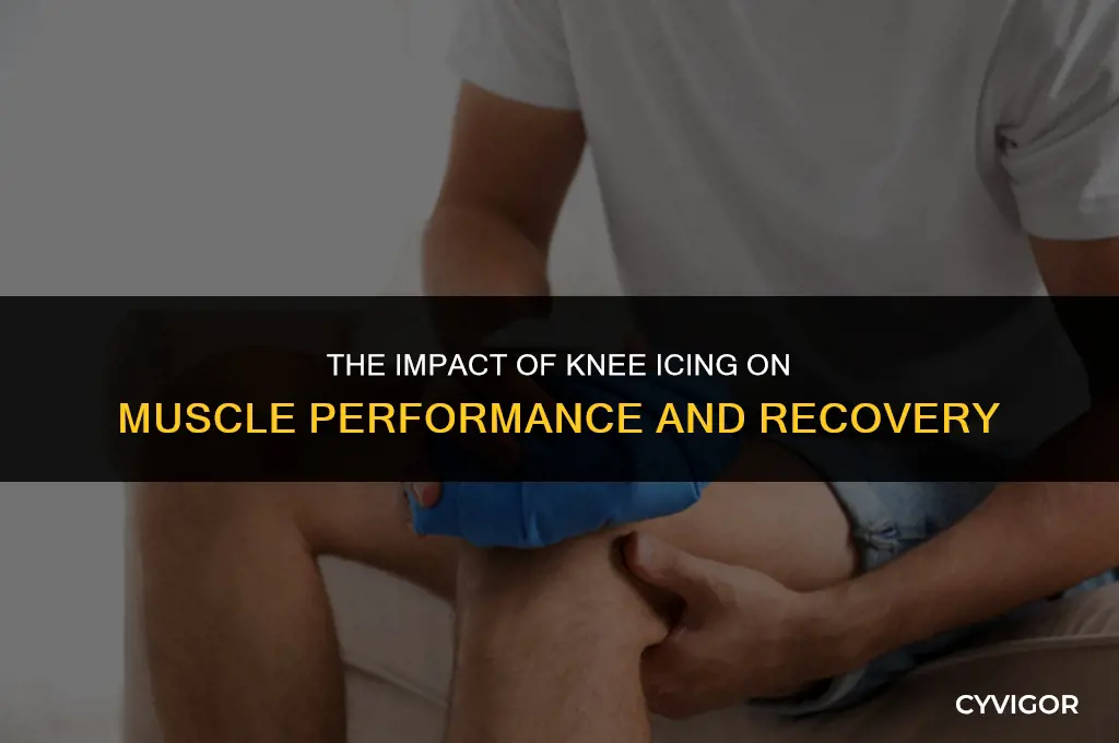 does icing your knee affects muscles