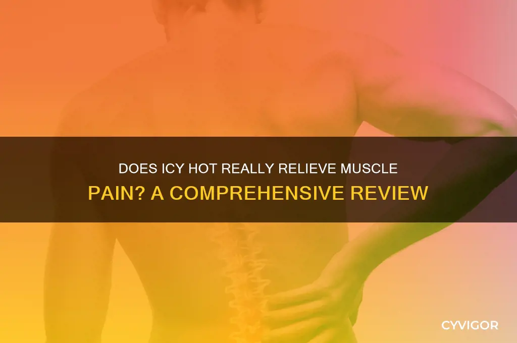 does icy hot fix muscle pain