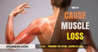 Muscle Loss: Is Intermittent Fasting the Culprit?