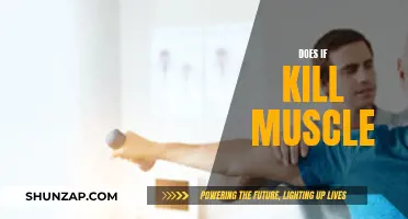 Intermittent Fasting: Muscle Friend or Foe?