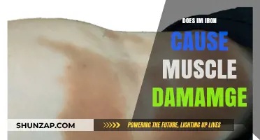 Iron and Muscle Damage: What's the Link?