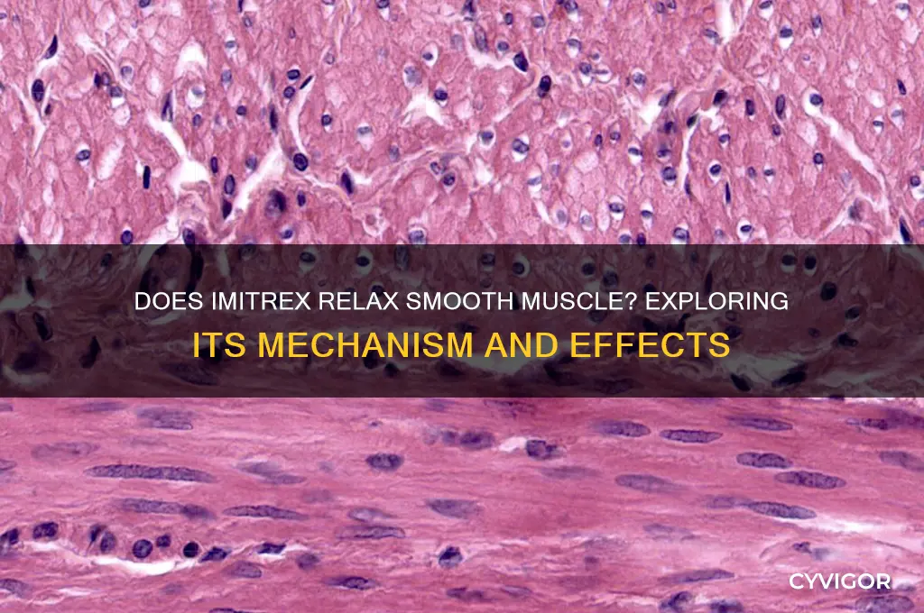 does imitrex relax smooth muscle