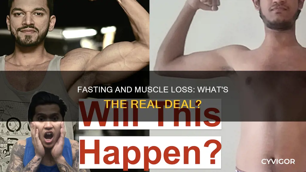 does imminent fasting cause muscle loss