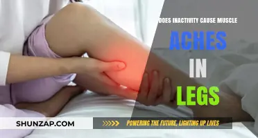 How Inactivity Causes Leg Muscle Aches
