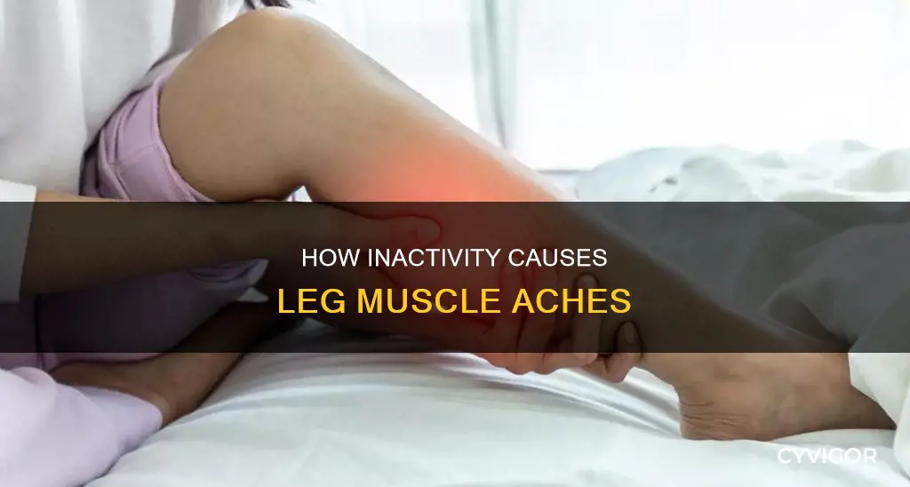 does inactivity cause muscle aches in legs
