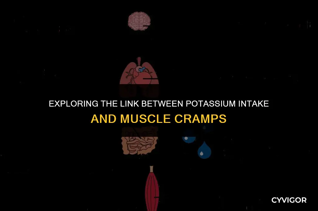 does increased k increase muscle cramps