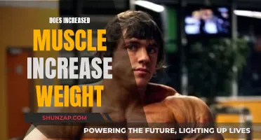 Muscle Gain: Does Increased Muscle Mean Increased Weight?