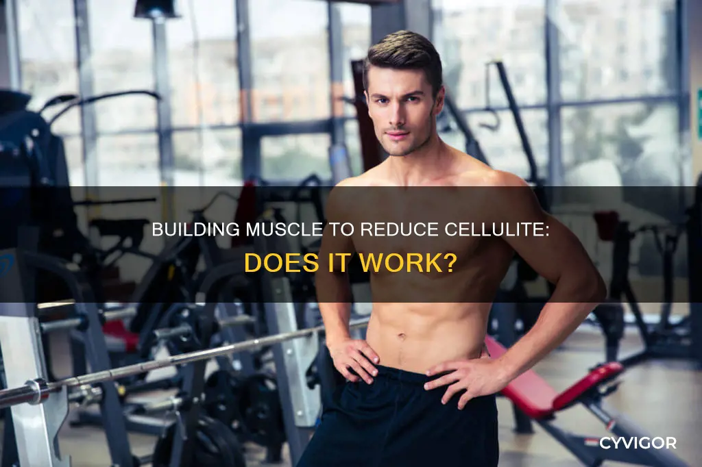 does increasing muscle decrease cellulit