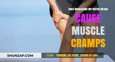 Hydration and Muscle Cramps: Is There a Link?