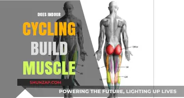 Pedal Power: Unveiling the Muscle-Building Benefits of Indoor Cycling