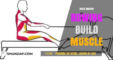 Sculpt Your Physique: The Muscle-Building Benefits of Indoor Rowing