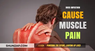 How Infections Trigger Muscle Pain and Aches