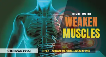 Inflammation's Impact: Weakening Muscles and Strength