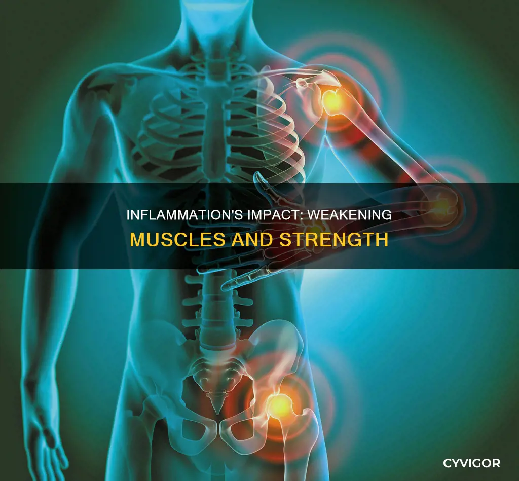 does inflamation weaken muscles