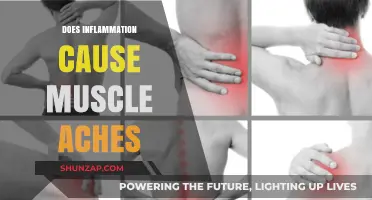 Inflammation and Muscle Aches: What's the Link?