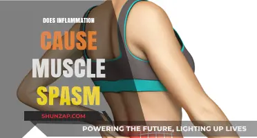 Inflammation and Muscle Spasms: What's the Link?