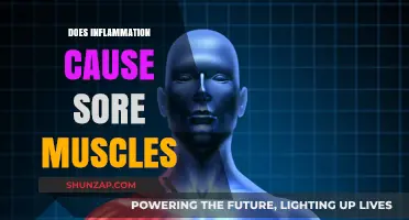 Inflammation and Sore Muscles: What's the Connection?