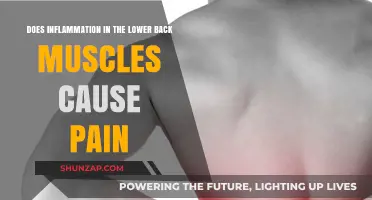 Inflammation and Lower Back Pain: What's the Link?