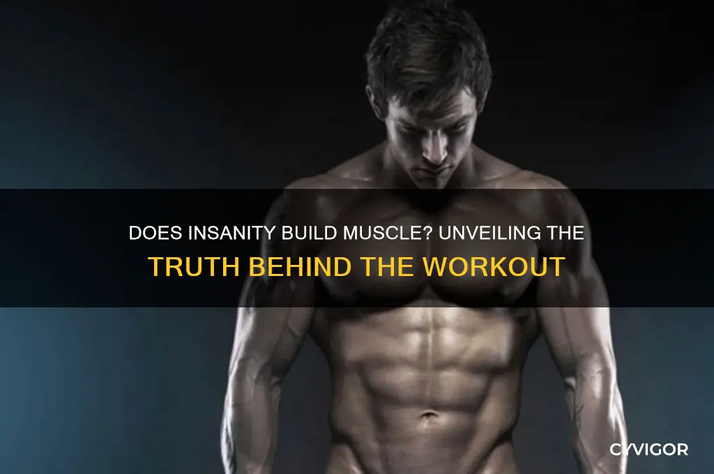 does insanity gain muscle