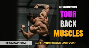 Insanity Workout: Does It Effectively Target and Strengthen Back Muscles?