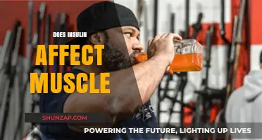 Exploring Insulin's Impact on Muscle Health and Fitness