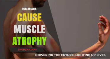 Insulin's Impact: Muscle Atrophy and Growth