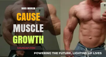 Insulin's Role in Muscle Growth and Bodybuilding