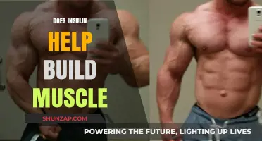 Unlocking Muscle Growth: The Role of Insulin in Your Fitness Journey