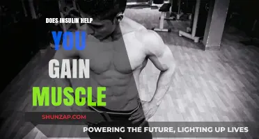 Insulin's Role in Muscle Growth: Fact or Fiction?