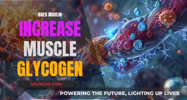 Insulin's Role in Muscle Glycogen: What Athletes Need to Know