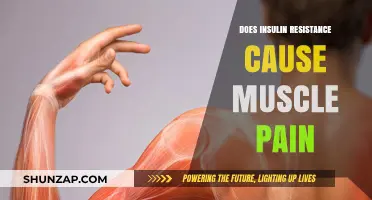 Insulin Resistance: Understanding the Link to Muscle Pain