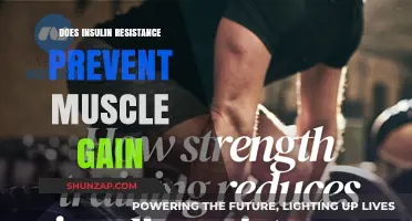 Insulin Resistance and Muscle Gain: Unlocking the Truth for Fitness Success