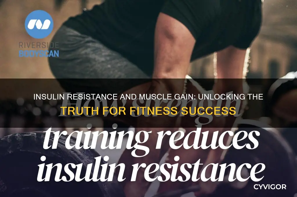 does insulin resistance prevent muscle gain