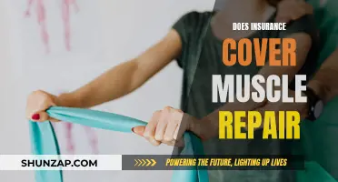 Muscle Repair: What Does Insurance Cover?