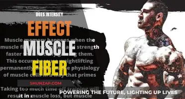 Muscle Fiber Growth: The Role of Training Intensity