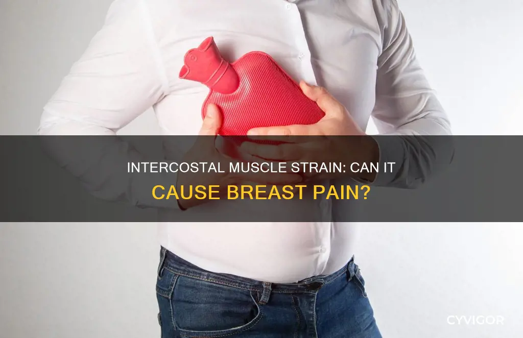 does intercostal muscle strain cause breast pain