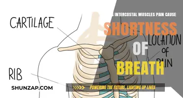 Intercostal Muscle Pain: Can It Cause Shortness of Breath?