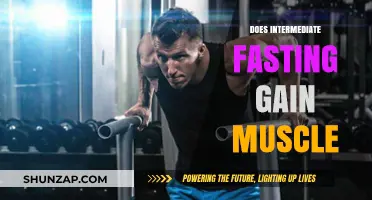 Can Intermittent Fasting Build Muscle? Unlocking the Truth for Fitness Enthusiasts