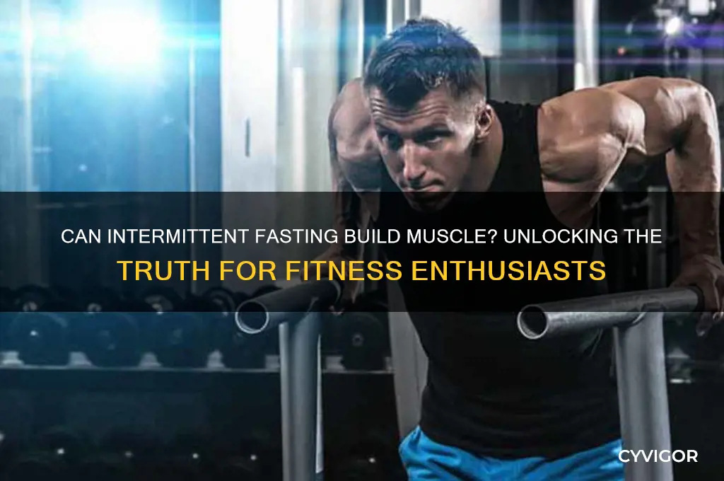 does intermediate fasting gain muscle