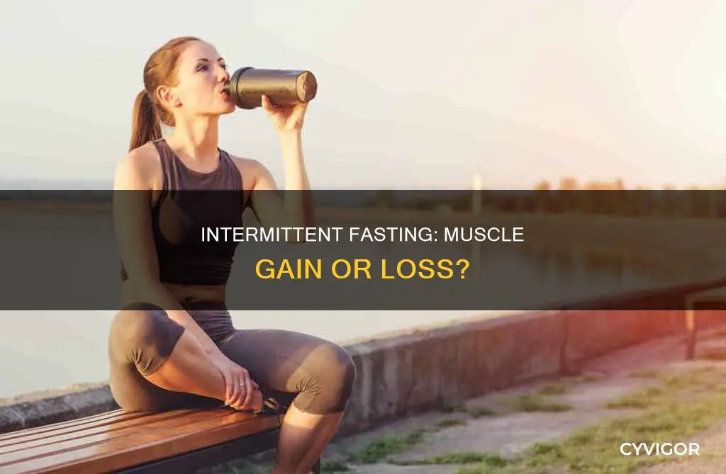 does intermittent fasting cause muscle gain
