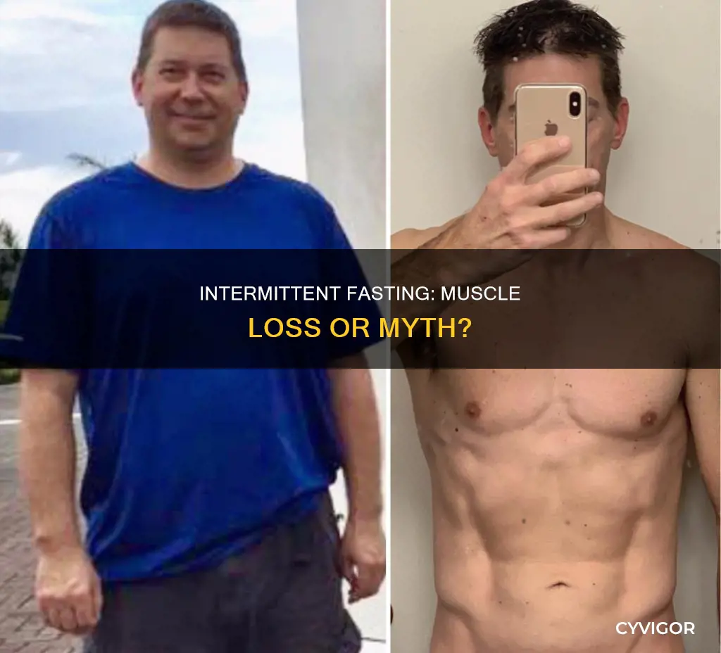 does intermittent fasting destroy muscle