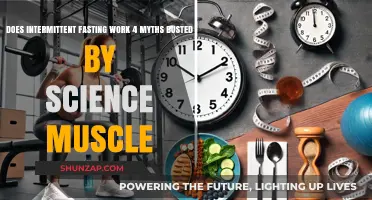 Intermittent Fasting Myths Debunked: Science-Backed Muscle Facts Revealed