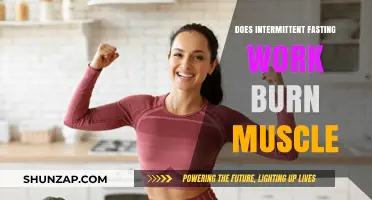 Does Intermittent Fasting Burn Muscle? Uncovering the Truth and Facts